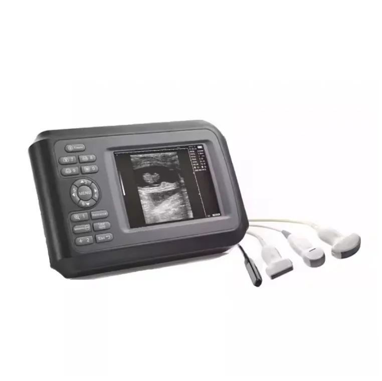 Animals Affordable Portable B Scan Device Veterinary Ultrasound Machine for Pet Pregnancy Pig, Sheep and Dog Scanning