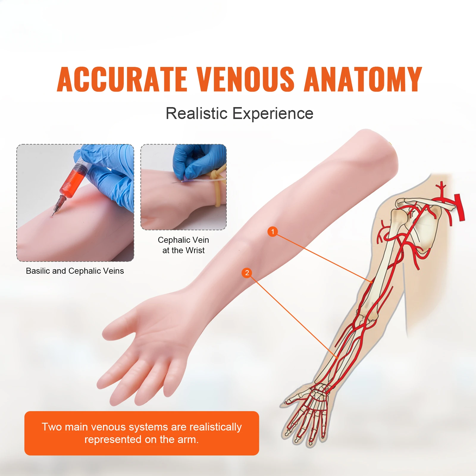 Phlebotomy Practice Kit IV Venipuncture Intravenous Training Kit with Carrying Bag Practice IV Skills for Students