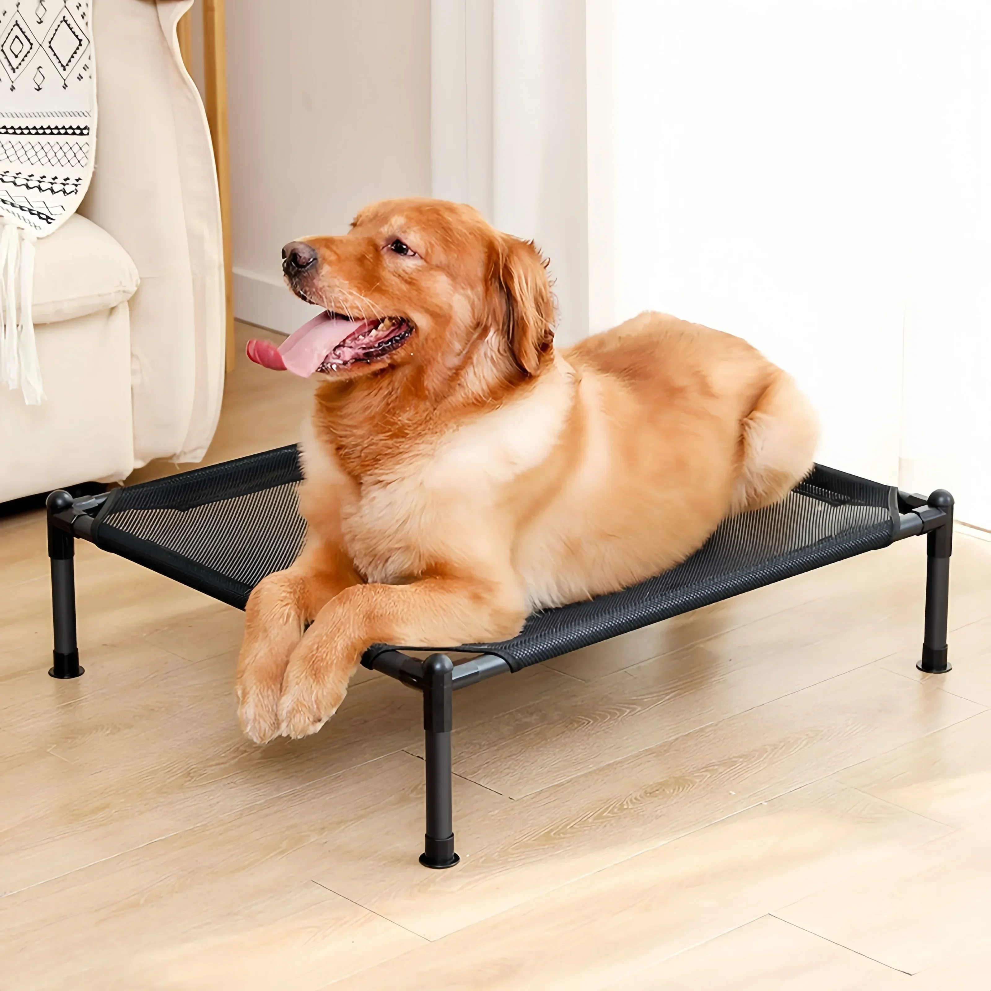 Thumbnail 4 - #7 Dog Sofa Beds Discount Picks