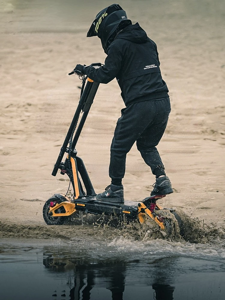 RS electric scooter off-road high-speed dual wheel drive shock absorption all terrain performance vehicle