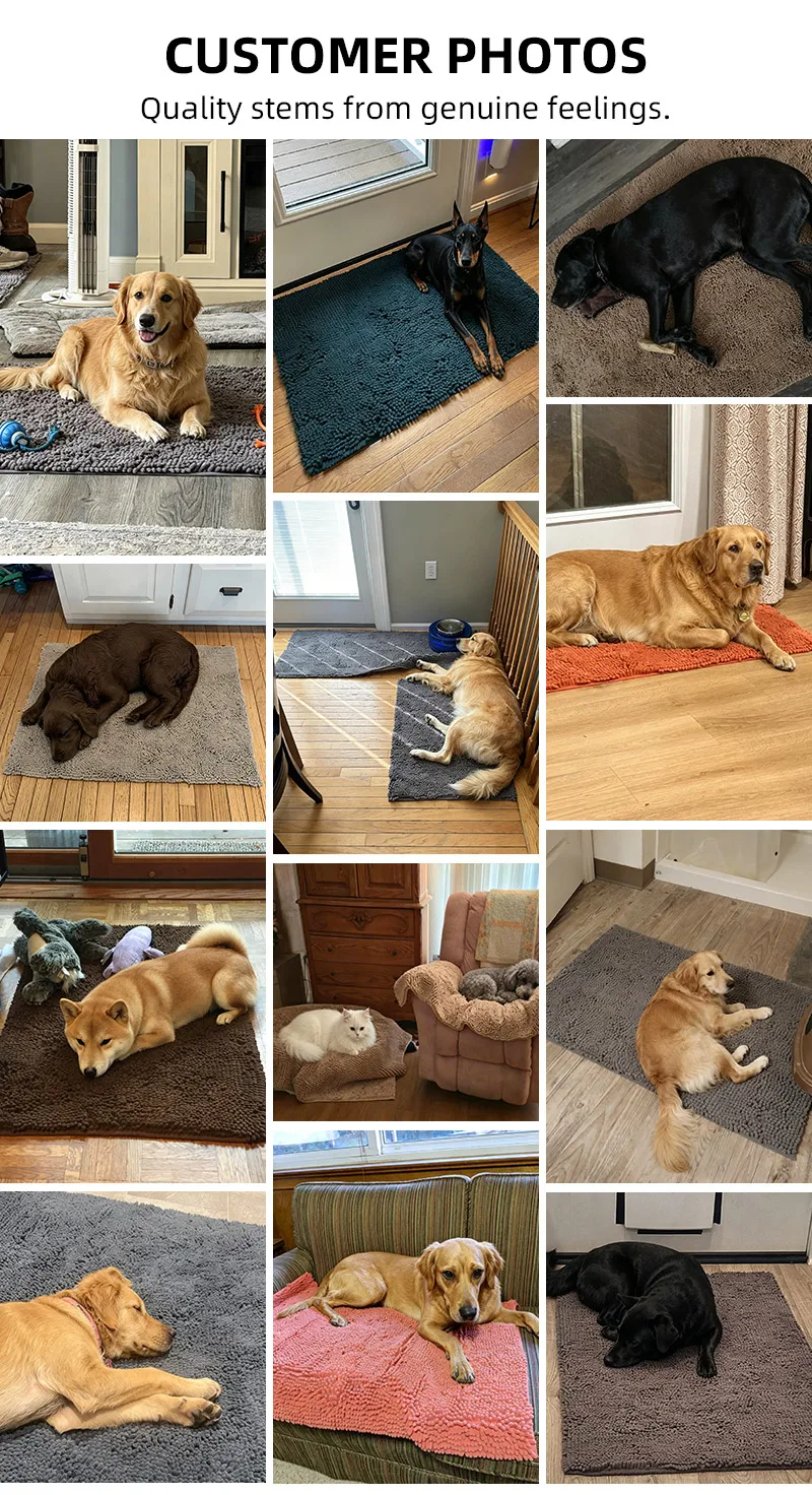 Superabsorbierende Hunde-Türmatte, Rutschfester Boden, Waschbarer Eingangsteppich, Hält Böden Sauber, Perfekt für Schmutzige Nasse Schuhe & Pfoten, Grau – Detail 1