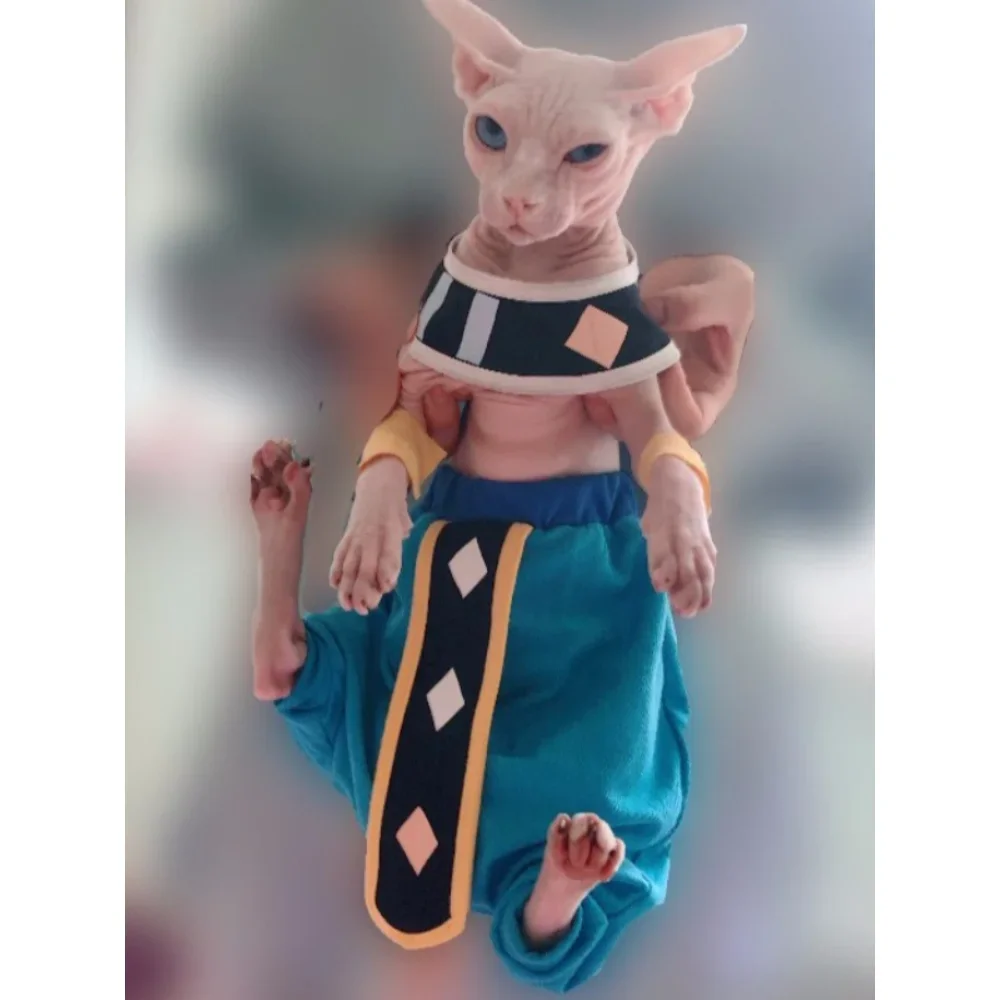 Handmade Sphinx Cosplay Costumes Hairless Cat Clothes God of Destruction Crotch-Proof Trousers Dropshipping Cat Clothes