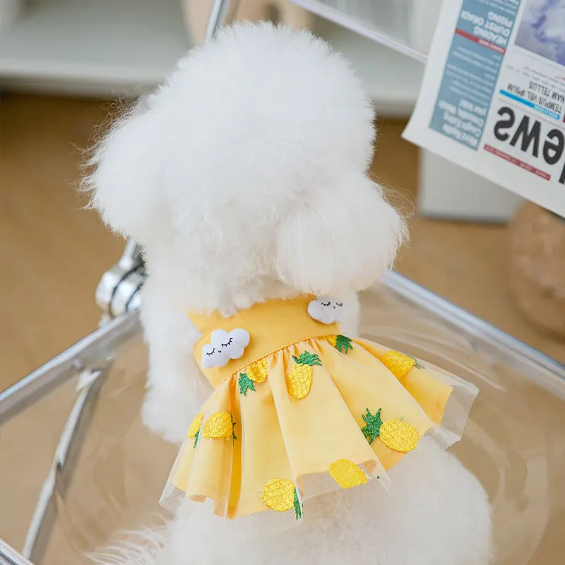 Sommer-Erdbeerkleid für Hunde, Haustierkleidung, Hosenträgerrock für Hunde, Hundekleidung, Katzen, Welpen, Aufdruck, niedlicher Hund, Netzkleid, Heimtierbedarf – Detail 19