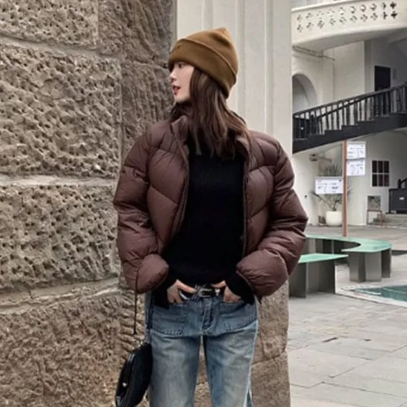 Chaqueta acolchada de algodón para mujer, abrigo holgado y grueso de cintura alta, edición coreana, ropa de invierno, 2024