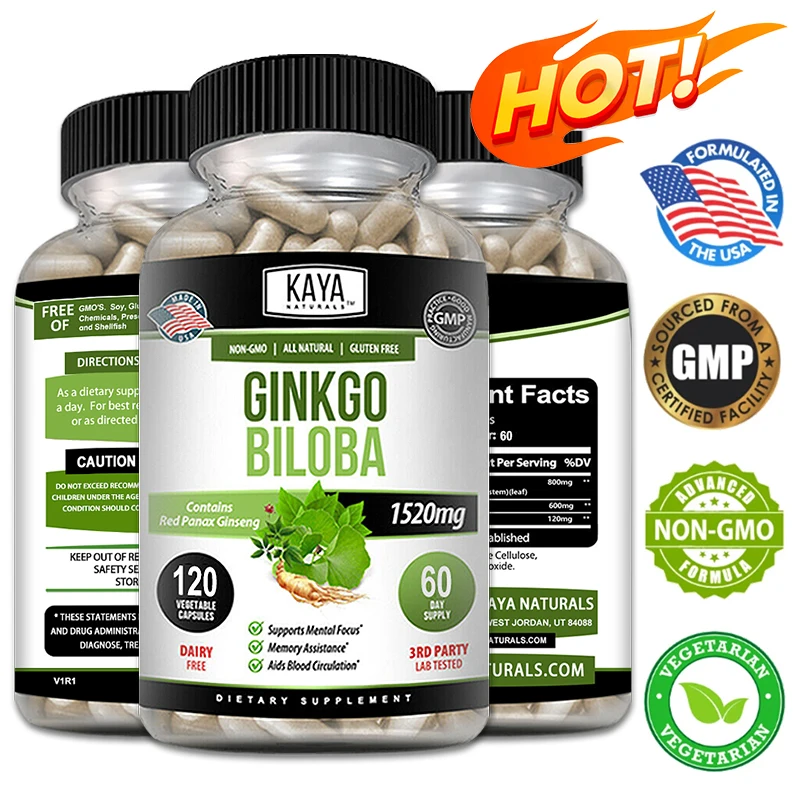 Ginkgo Biloba Extract Capsules - for Brain, Antioxidants, Blood Circulation, Mental Focus Memory Health Supplement - Non-GMO