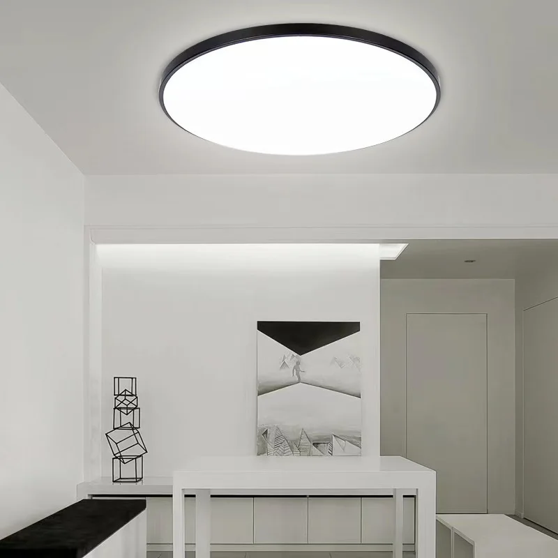 Modern Ultra Thin Led Ceiling Lamp For Living Room Bedroom Kitchen  Balcony Rust and Dustproof Mosquito-proof Ceiling light