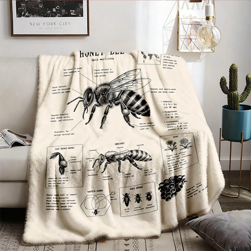 Honey Bee Anatomy Warm Blanket Vintage Entomology Illustration