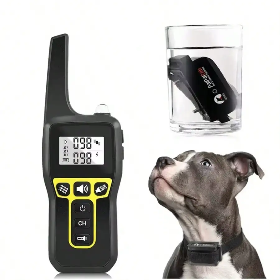 #29 Dog Collars Comparison Guide