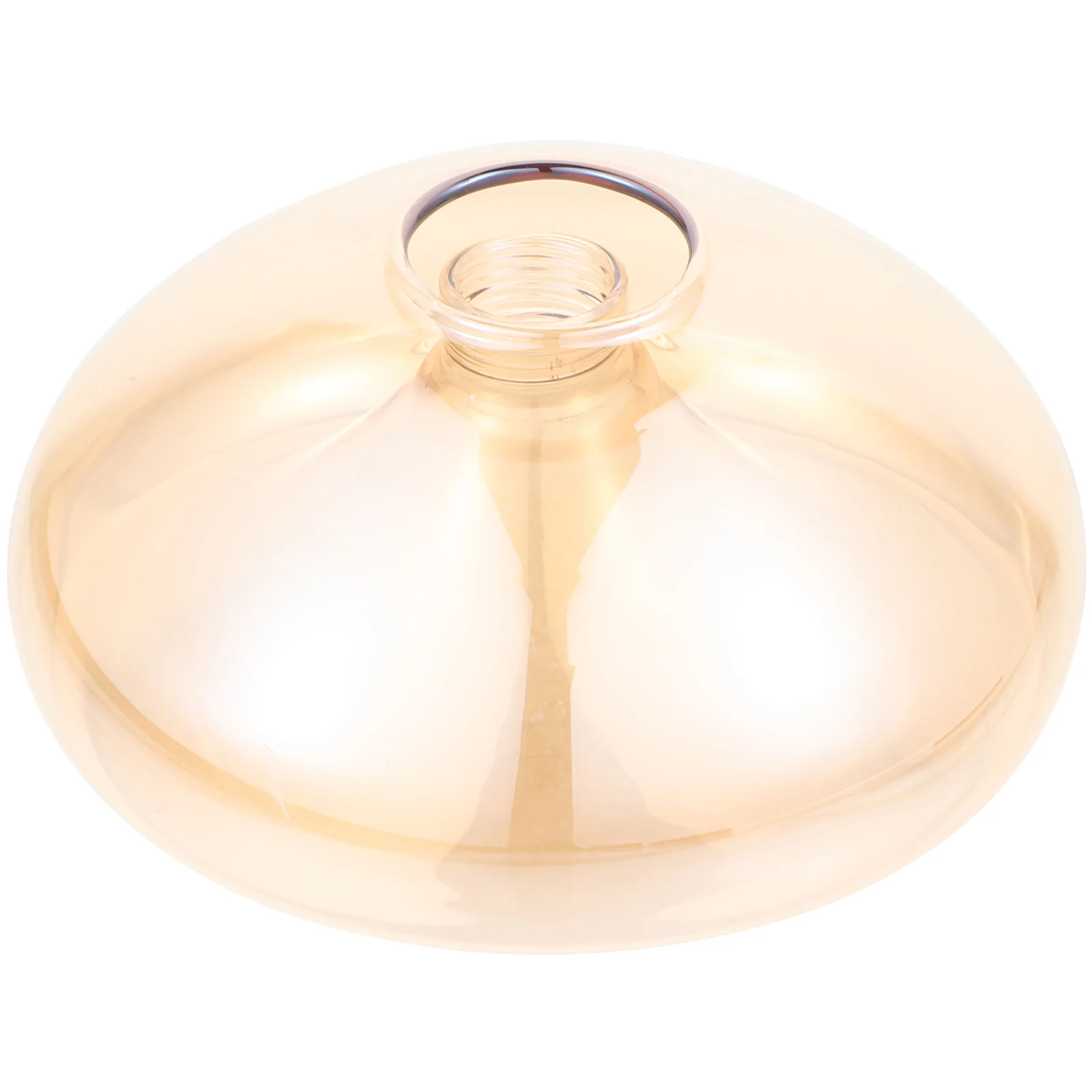 Bulb Glass Lampshade Light Fixture Ceiling Lampshades Branches Fluorescent G9 Fans