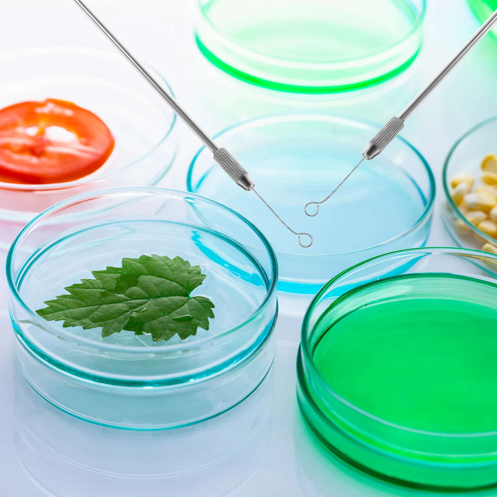 

92 pcs Microbiology Inoculation Rods Copper Plated 2Rods 90Rings Reusable Loops Sterile Durability Premium Material