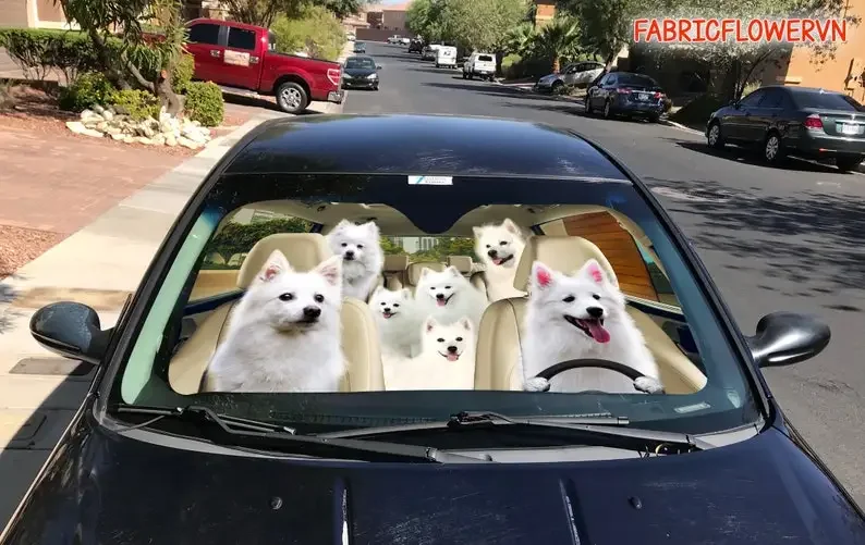 American Eskimo Car Sunshade, American Eskimo Car Decoration, Dog Windshield, Dog Lovers, Dog Car Sunshade, Gift For Mom, Gift F