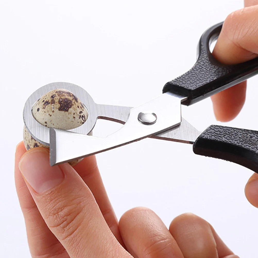 

3Pcs Egg Scissors Stainless Steel Kitchen Shears Multipurpose Antislip Handle Design for Party Barbecue Home Dinner Use