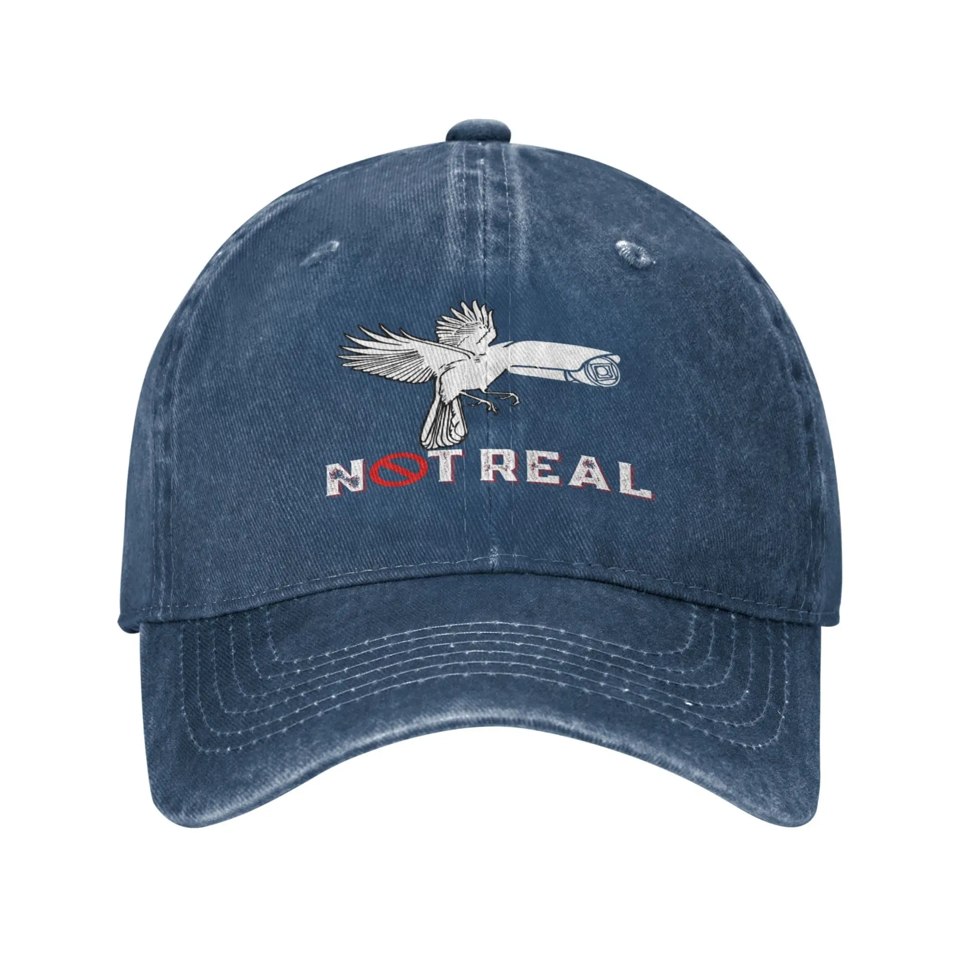 Birds Not Real Cap If It Flies It Spies Hat If It Flies It Dies Hat and are Not Real Hat Unisex Baseball Cap