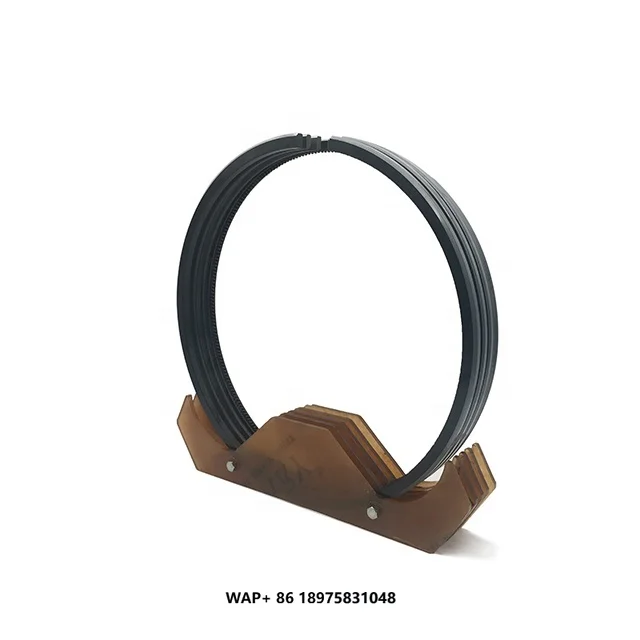 

Piston Ring for Niigata Niigata M 31 AFT Bore 310mm Ship Engine Spare Parts