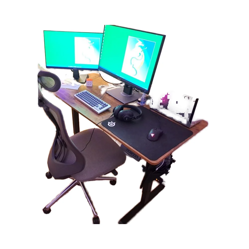 Standing Height Adjustable Office Gaming Computer Desk