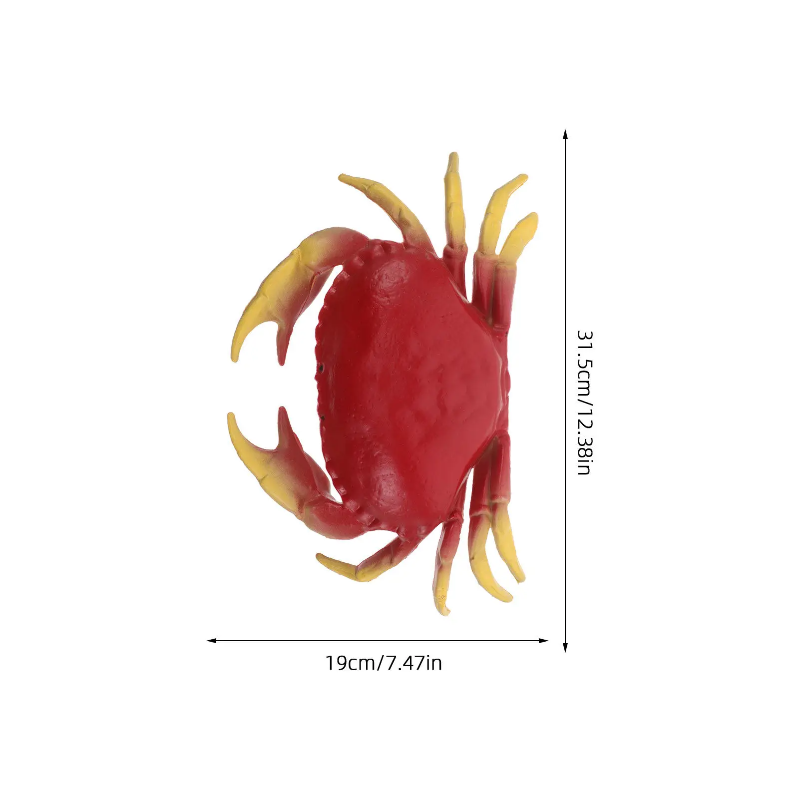 Simulation Crab Realistic Sea Animal Ornament for Ocean Creatures Early Education Photography Display Crab Toy