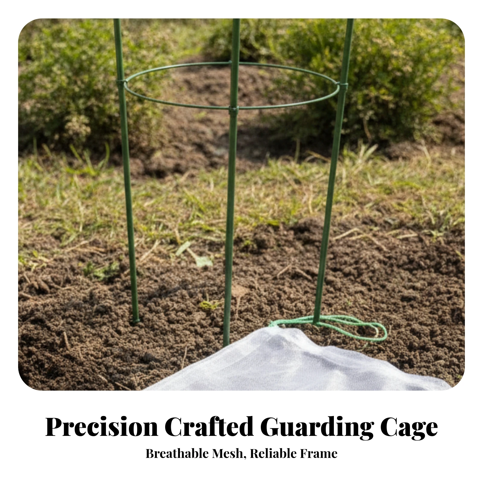 Breathable Plant Barrier Cage for Animal Insect Shielding Lightweight Cylindrical Mesh Plant Protector for Garden Seedling