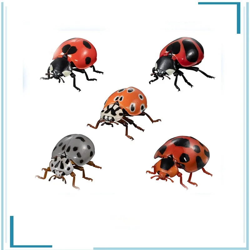 BANDAI Gashapon Biology Illustrated Guide Coccinella Septempunctata Childhood Memories Keepsake Holiday Gifts Figure Model Toys