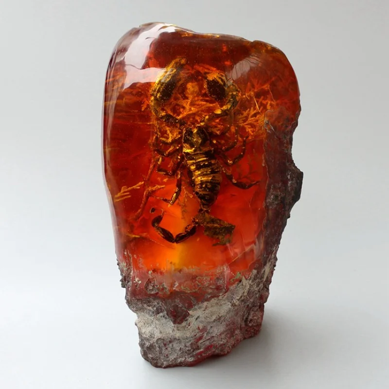 Amber Beeswax Rough Stone Insect Amber Ornaments Crab Specimen Insect Amber Oversized Scorpion Amber Ornaments