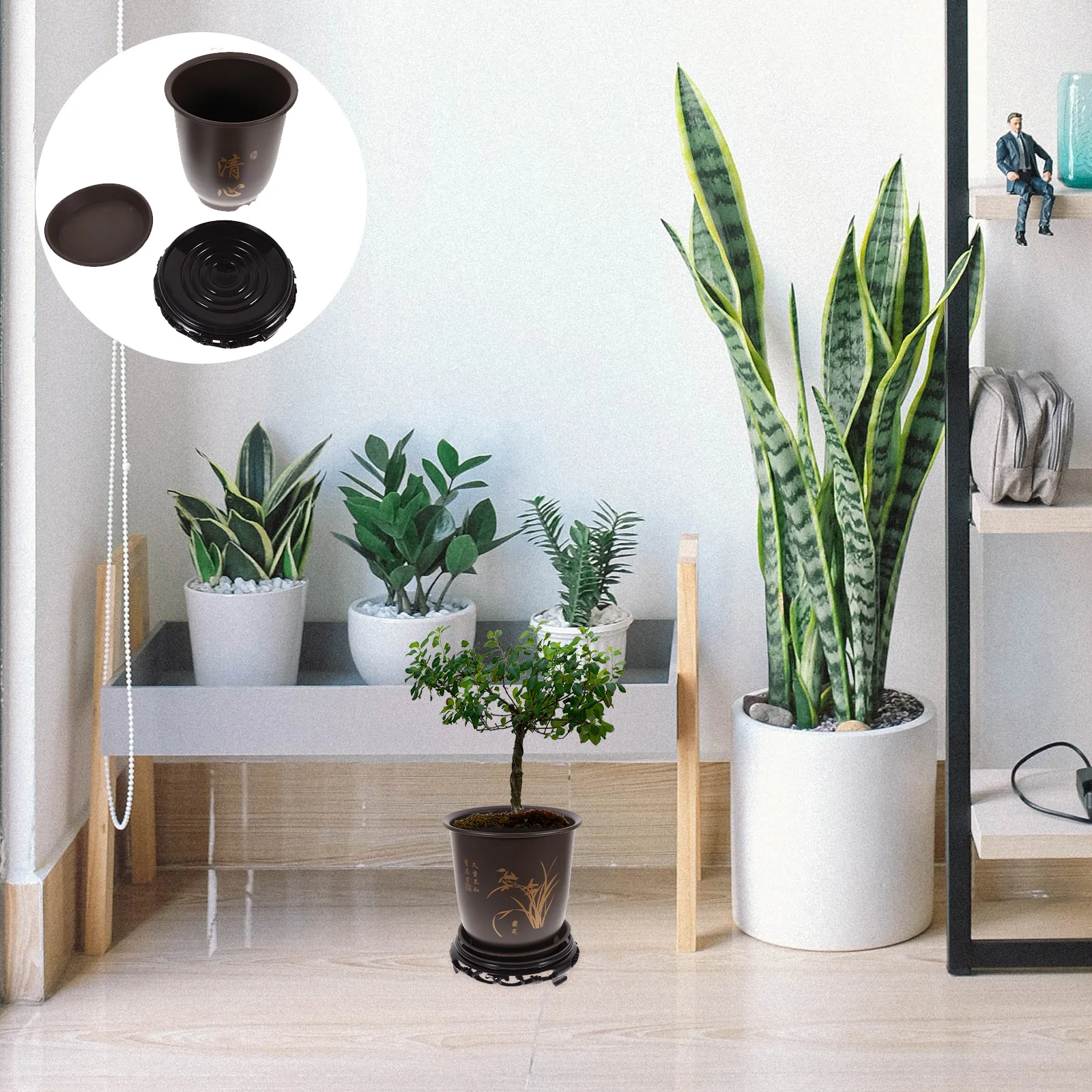 

1 set Orchid Bonsai Pot Large Plastic Flowerpot Clear Drainage Simple Design Lightweight Durable Gardening Plant Pot for Home