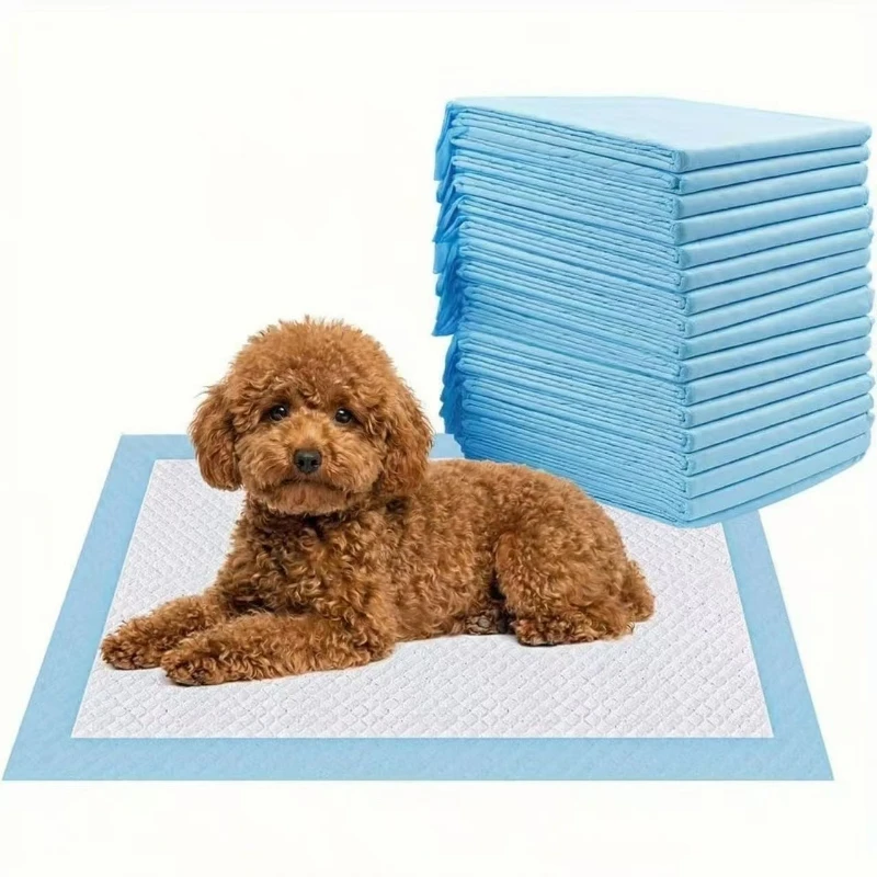Tapis absorbant pour animaux de compagnie, tapis d'entraînement pour chiens, absorbant et anti-fuite, séchage rapide, tapis absorbant pour chiots