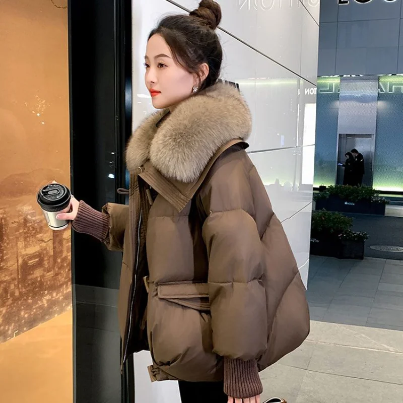 

2025 Winter New Style Large Fur Collar Down Cotton Coat Short Korean Loose Thickened Jacket
