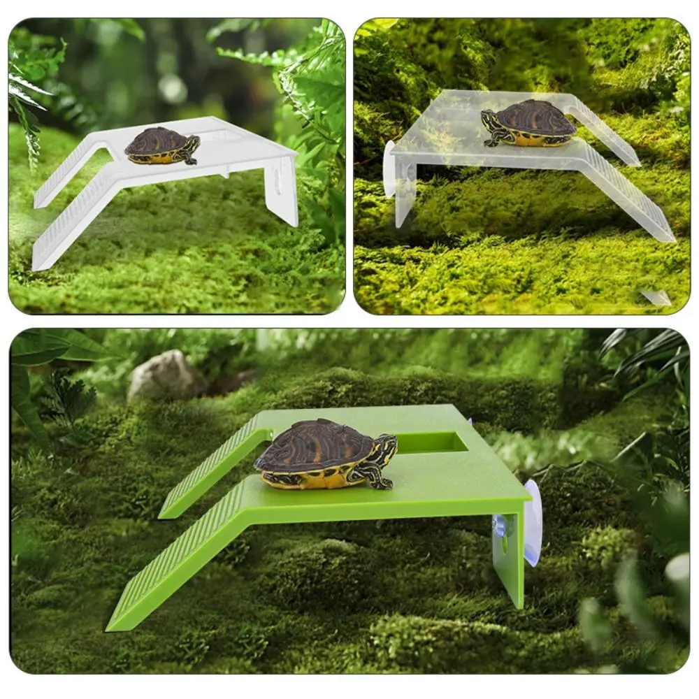 Tortoise Climbing Basking Platform Turtle Tank Floating Basking Platform For Aquatic Turtles Terrace