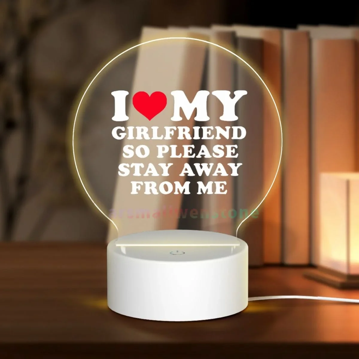 I Love My Girlfriend So Please Stay Away From Me Acrylic Photo Lamp Photo LED Night Light,Photofor Couple Anniversary Gift