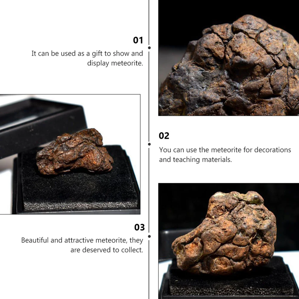 2 Pcs Olive Meteorite Lithosiderite Specimen Decoration Sample Teaching Model Table Adornment