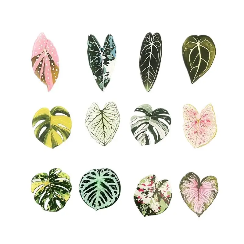 12Pcs Begonia And Monstera Fridge Magnet With Bright Artistic Designs Sturdy Build Perfect Plant Lovers Decor