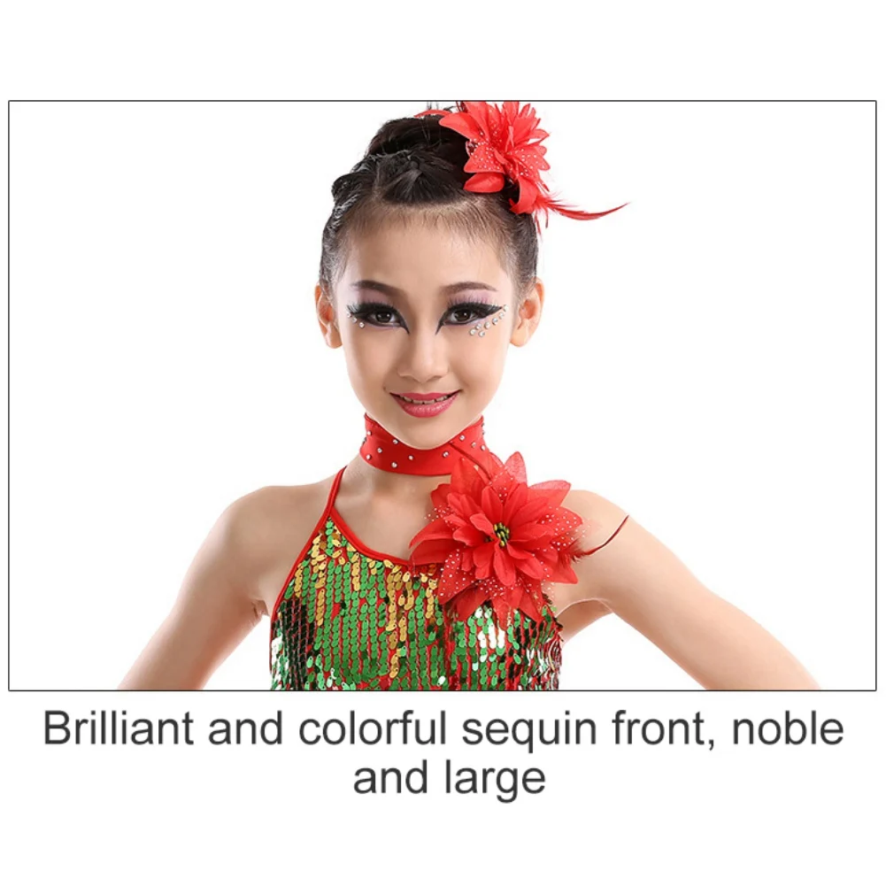 Kids Girls Latin Dance Dress Outfits Cha Cha Dress+Sleeve Cover+Necklace+2 Flowers Tango Skirt Dancewear Tassel Dancing Dress