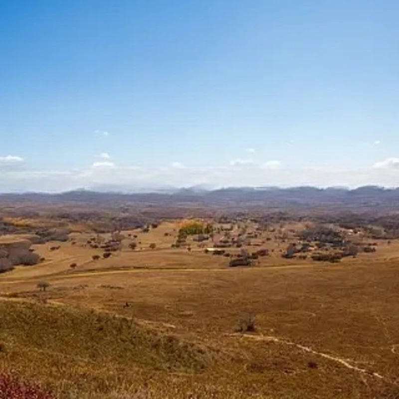 

GEPRC SPEEDX2 1804 2450KV 6S Black Motor for FPV Freestyle 3-4inch Cinewhoop Toothpick Long Range Drones Cinebot30