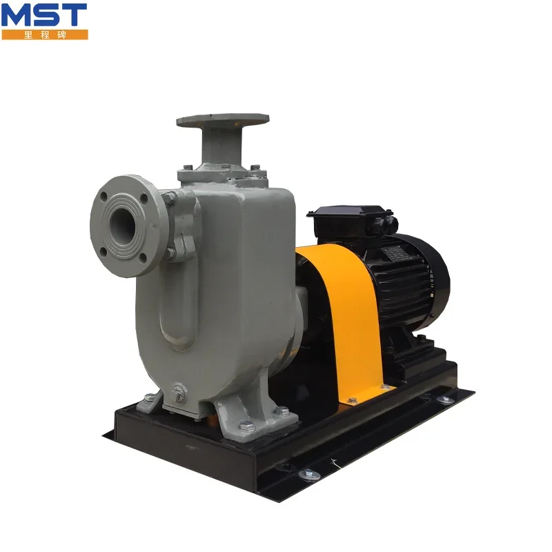 10 Inch 20m Head High Flow Self Priming Water Pump Diesel Engine For Mobile Pouring