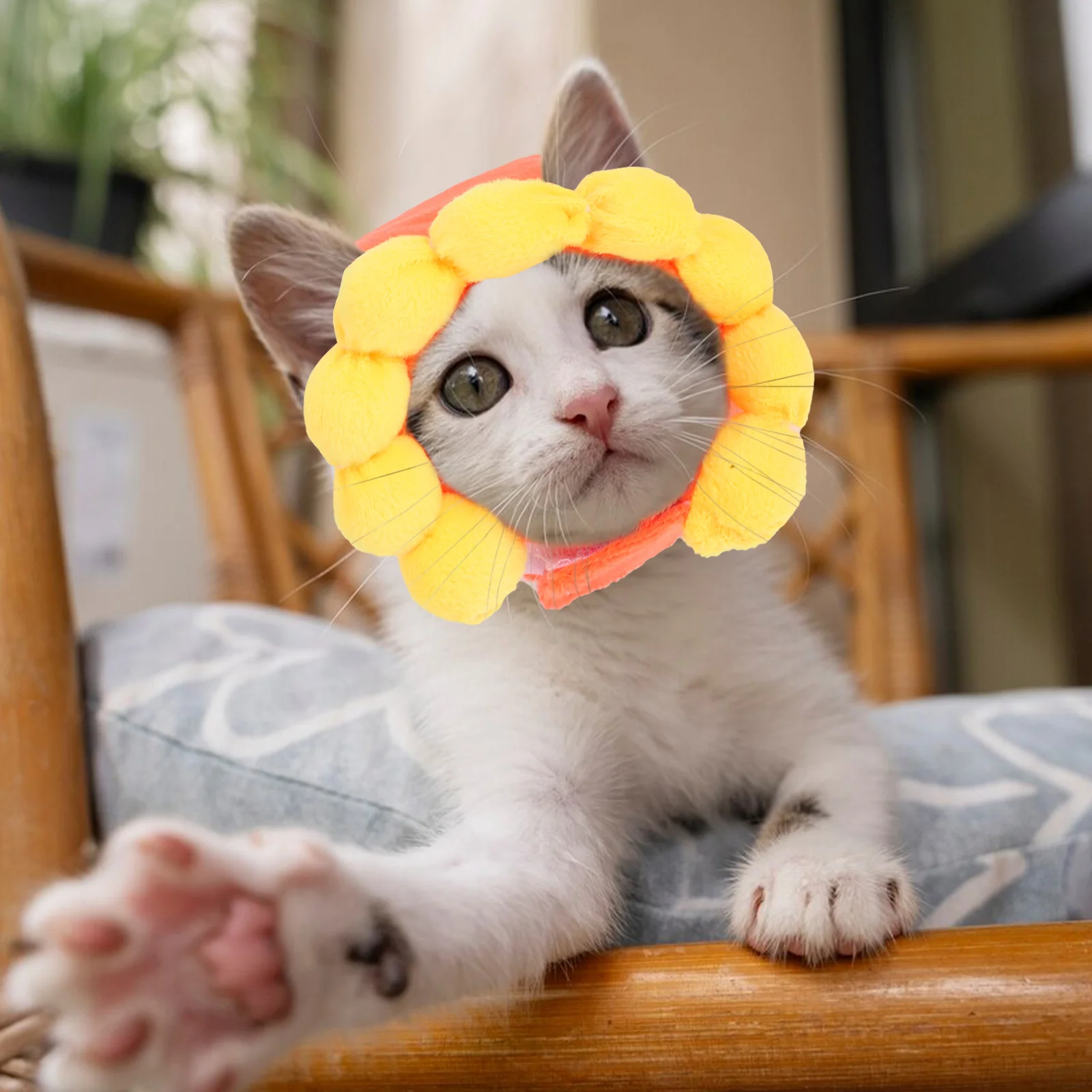 

3 Pcs Pet Party Hat Costume for Pets Cat Bunny with Ears Hats Rabbit Dog Headdress Polyester Dogs Cats Holiday Cute