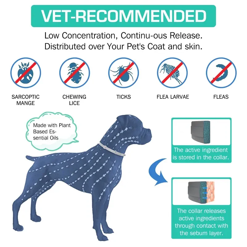 Thumbnail 2 - #71 Best Pet Collars to Buy In 2026