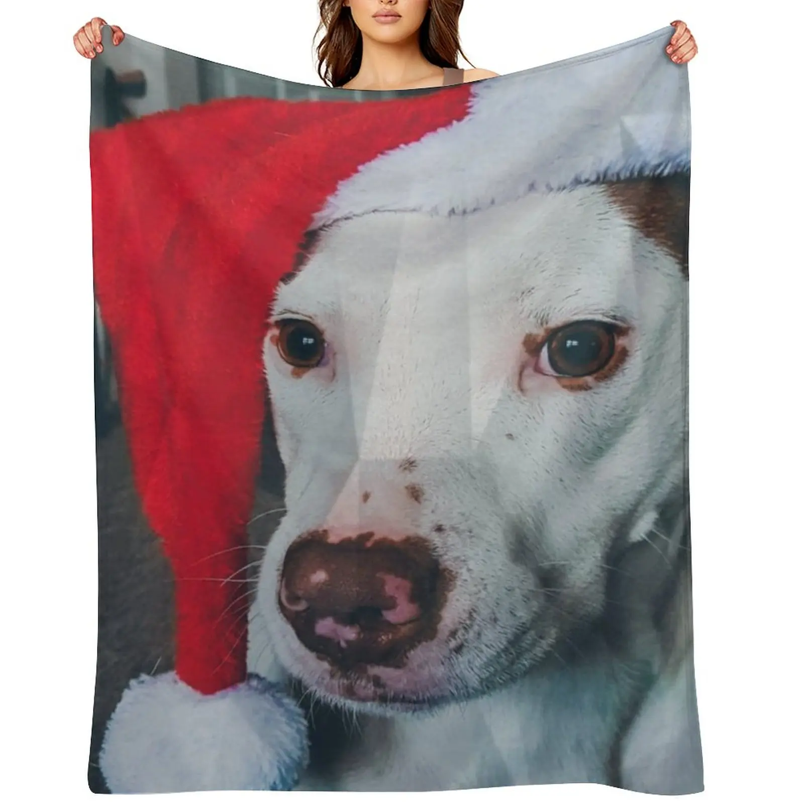 

Pitbull Santa Hat Throw Blanket Thermals For Travel Hair funny gift for winter Blankets