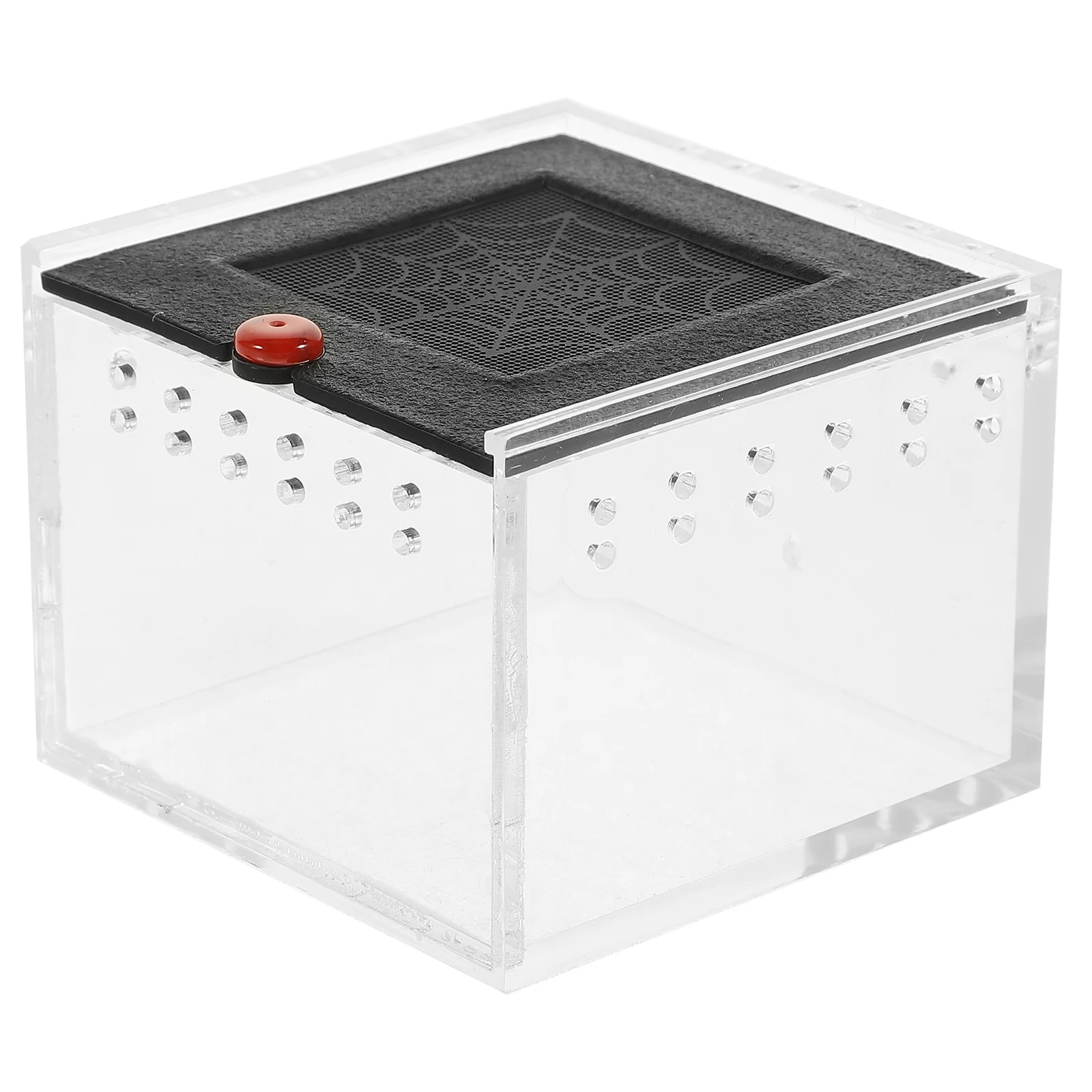 Kotak Makan Reptil Akrilik Transparan Terarium dengan Ventilasi untuk Laba-laba, Kadal, Siput, Serangga, Habitat Hewan Peliharaan, Kotak Pajangan
