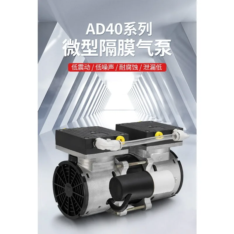 Micro Vacuum Pump AD40AC2S Edge Gas Sampling Large Flow High Vacuum Sterilizer Micro Diaphragm Air Pump