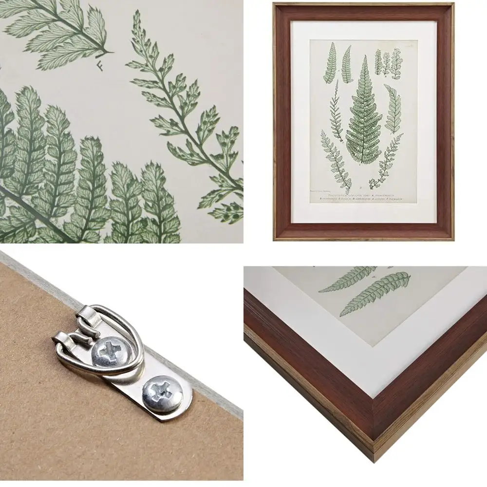 

Green Lady Fern Wall Art for Living Room & Bedroom, Framed Canvas, 18.75x24.75, Country Style Decor