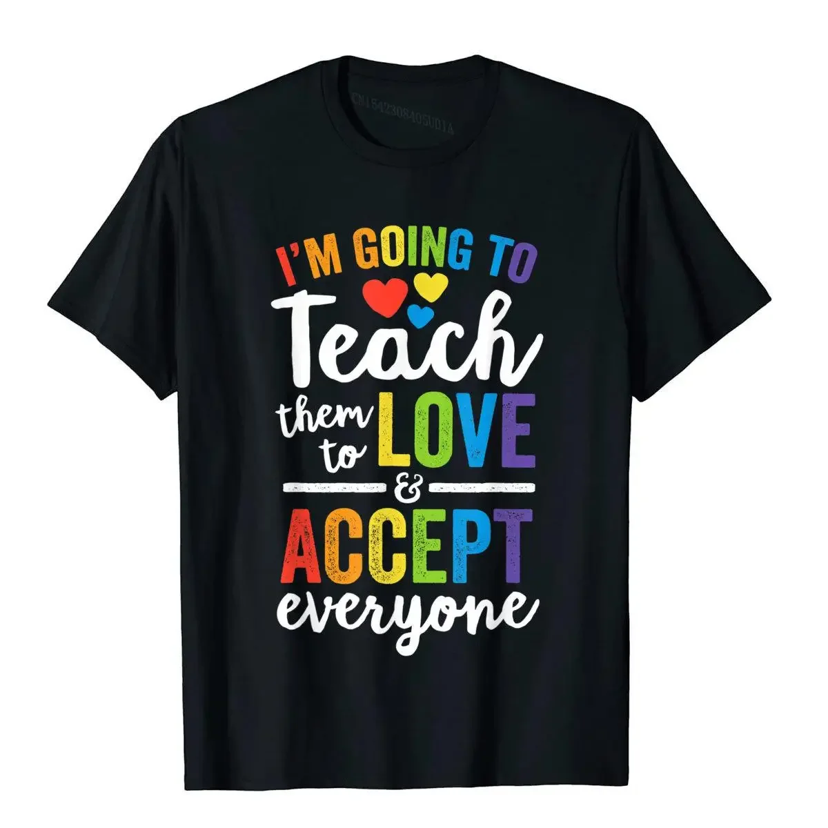 Teach Them To Love And Accept Everyone Teacher Pride LGBT T-Shirt High Quality Cotton Hip Hop Unique Men's T Shirt