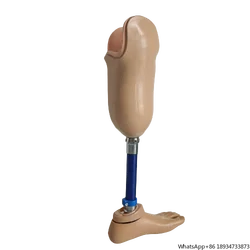 Artificial limbs leg implant Bk leg prosthesis People with disabilities prosthetic leg