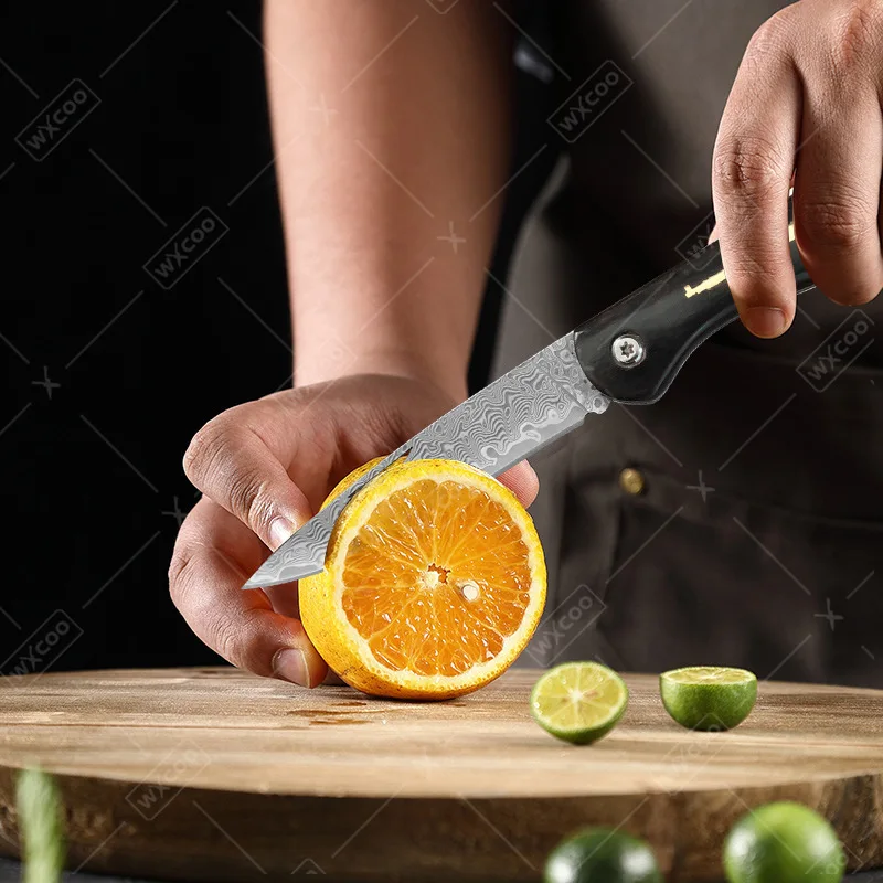 WXCOO Stainless Steel Pocket Folding Knife Damascus VG10 Steel Kitchen Knife Cutting Meat Fruits Vegetables Knife Wooden Handle