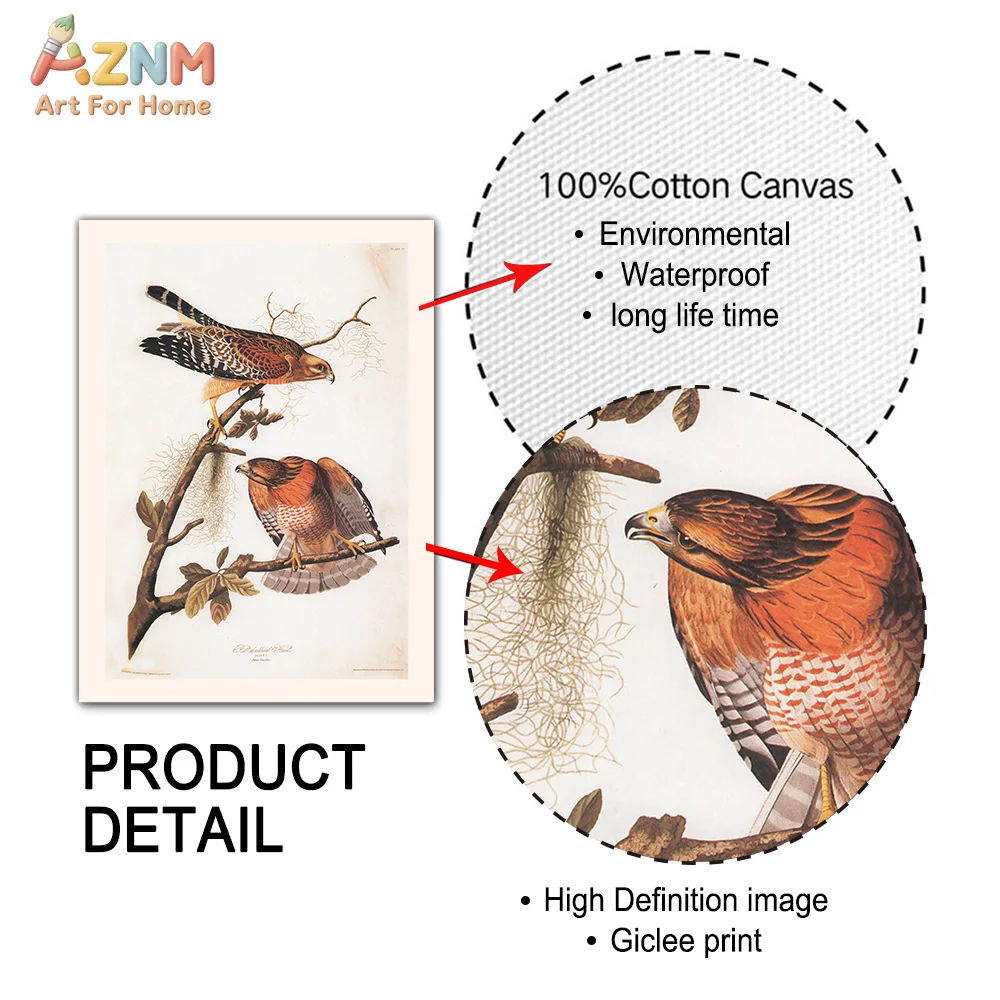AZNM Vintage Audubon Bird Canvas Wall Art Retro Botanical Wild Birds Leaf Antique Illustration Unframed Print For Farmhouse Livi view 5