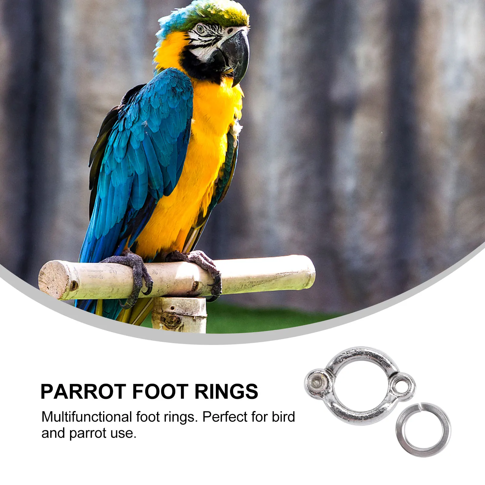 

6pcs Stainless Steel Foot Rings for Parrot Lightweight Rustproof Adjustable Bird Supplies Silver Color Pet Toys