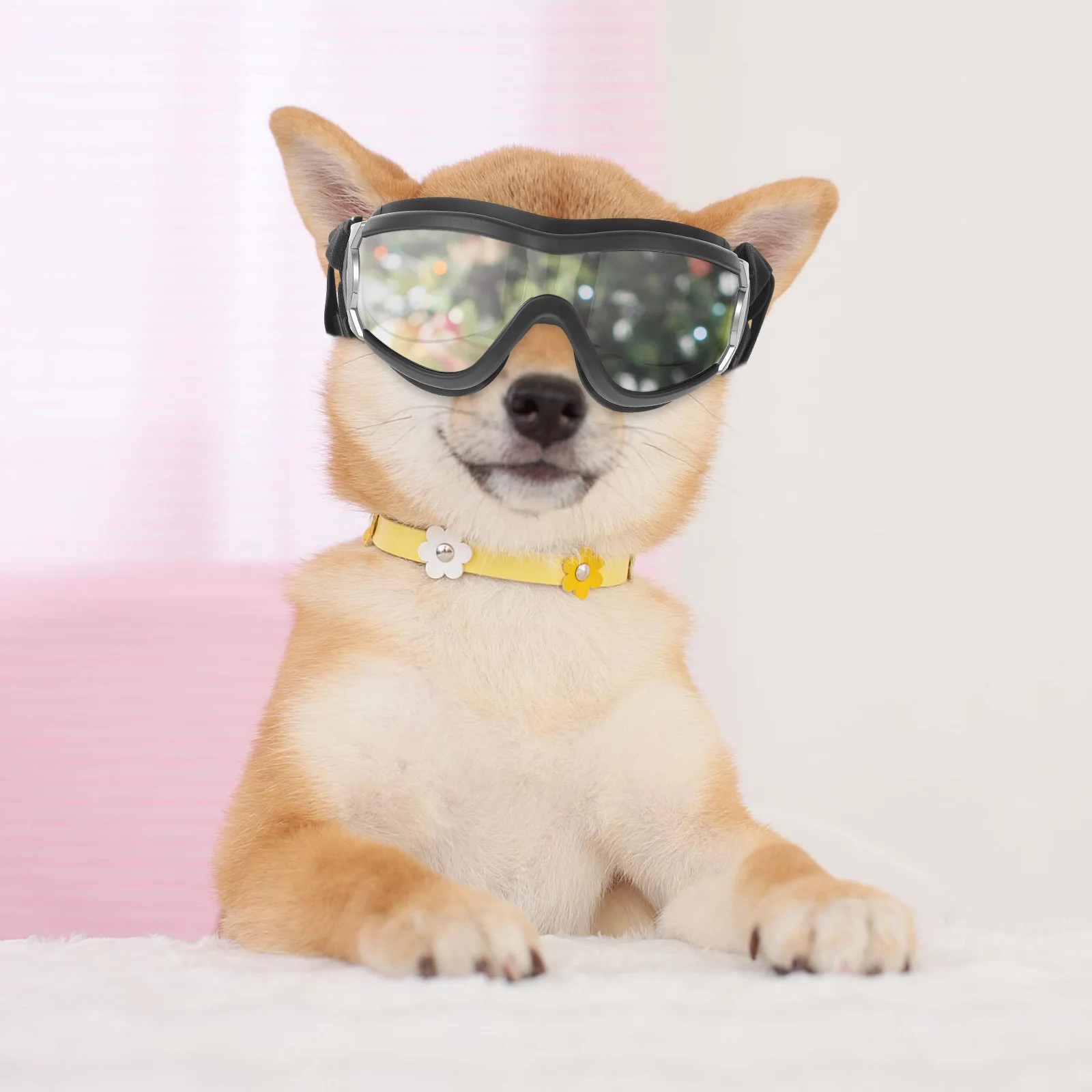 

Pet Goggles For Dogs Premium Pc Pvc Lightweight Windproof Snowproof Uv Protection Outdoor Goggles For Dog Puppy Running