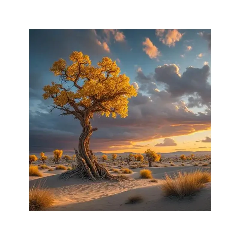 كاميرا جرس باب فيديو لاسلكية 4.3 بوصة IPS شاشة المنزل شقة الأشعة تحت الحمراء اتجاهين الاتصال الداخلي للرؤية الليلية الذكية جرس الباب المرئي #1