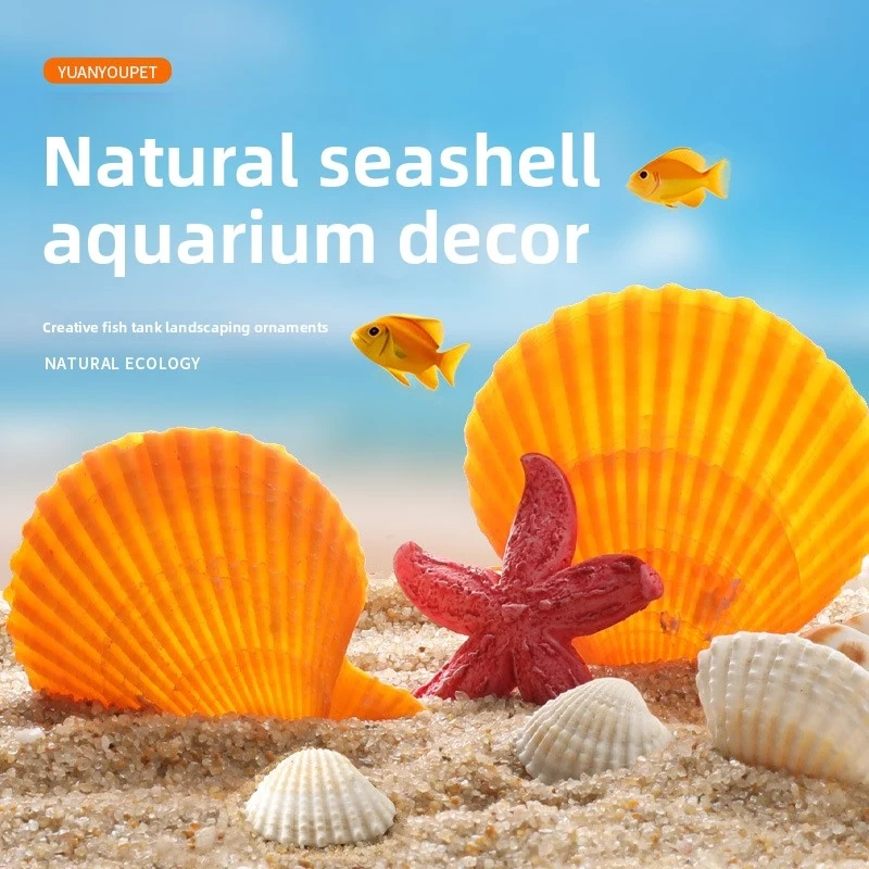 Natural Sea Shells Mix for Aquarium - Conch & Scallop Decor, Safe Hiding & Breeding Caves for Shrimp, Hermit Crabs