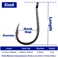 Size 6