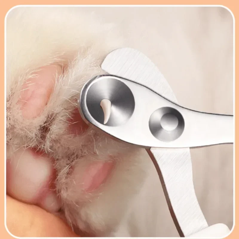 Professional Cat Nail Clippers for Small Cat Dog Stainless Steel Puppy Claws Cutter Pet Nall Grooming Clippers Trimmer image 5