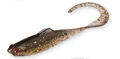 Loach